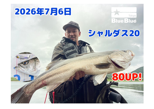 ダイワ シーバスロッド モアザン 96ML/M・J(2ピース)【大型商品】(96ML