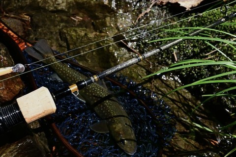 ダイワ シルバークリーク オーラム 53UL | 釣具 釣り フィッシング