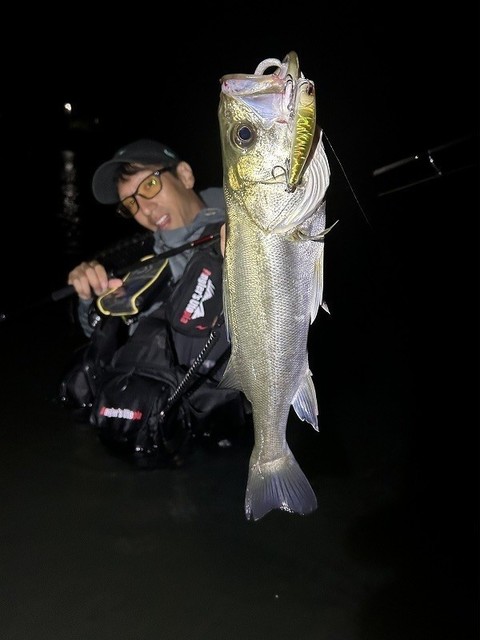 シーバス 水面炸裂のレイクシーバス by福元和孝 - マリアフィールドスタッフ