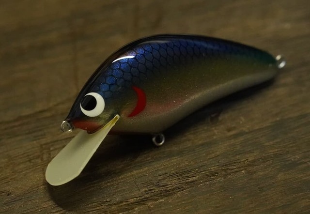 太宰府店 [釣具のキャスティング]