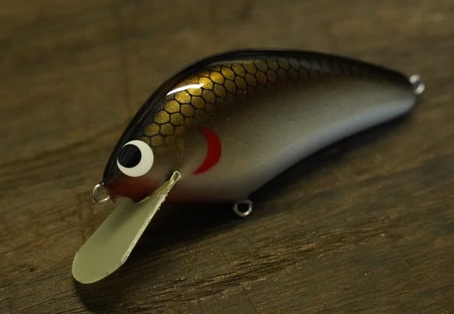 太宰府店 [釣具のキャスティング]