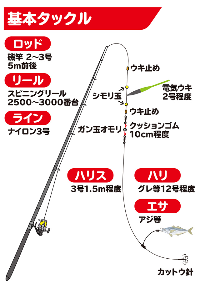 アオリイカ】アジ泳がせ釣り - HOW TO [釣具のキャスティング]