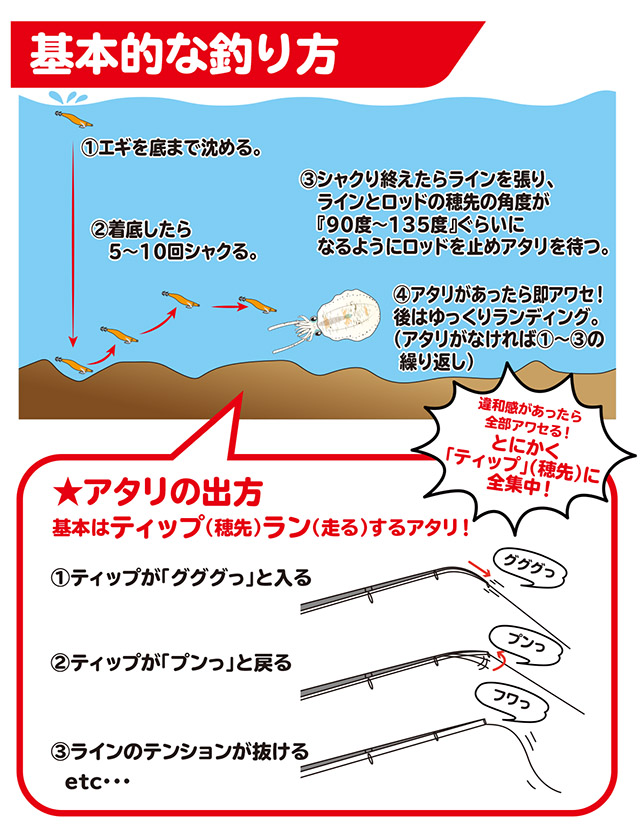 アオリイカ ティップランエギング How To 釣具のキャスティング