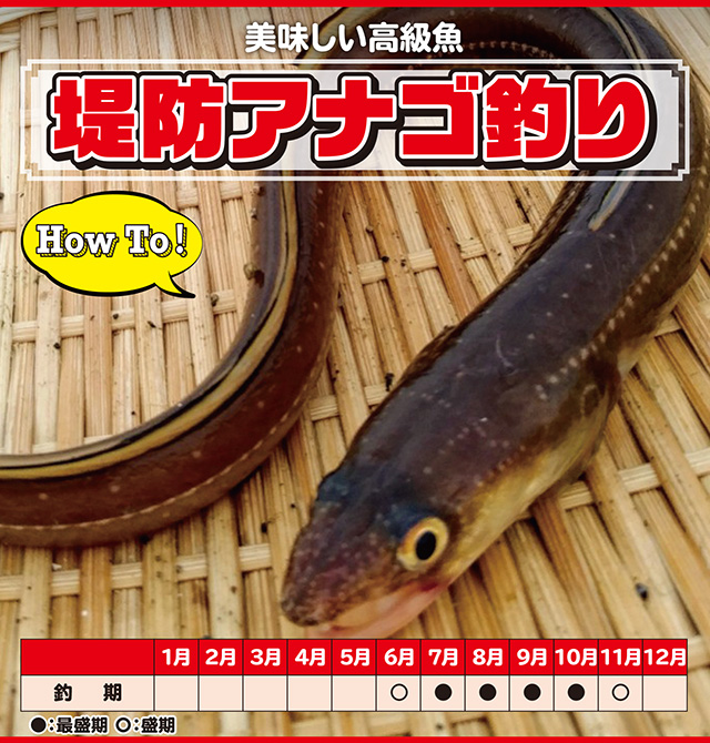 アナゴ 堤防 How To 釣具のキャスティング