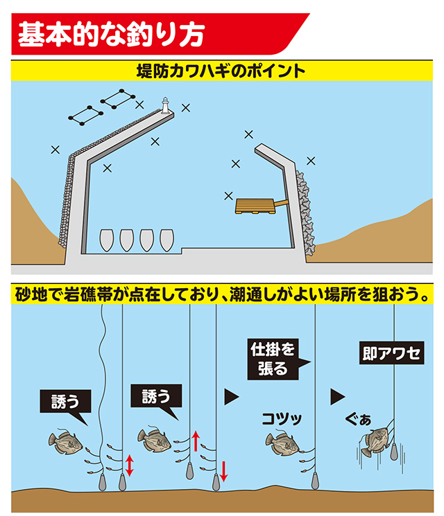 カワハギ 堤防 How To 釣具のキャスティング