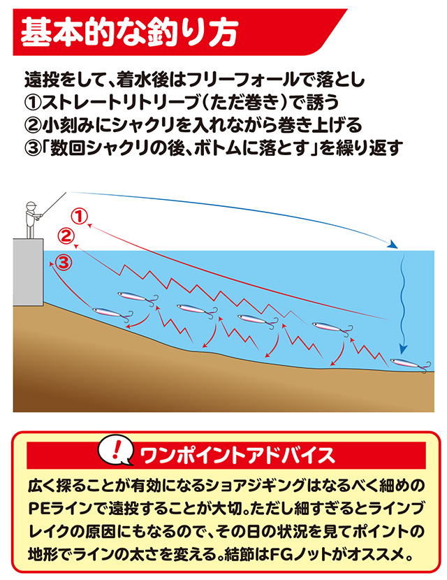 イナダ サバ ヒラメ ライトショアジギング How To 釣具のキャスティング