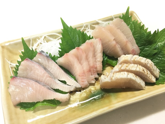 サワラ サゴシ 船釣り How To 釣具のキャスティング