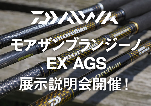 morethan(モアザン) ブランジーノ AGS 110H・J モアザンブランジーノ