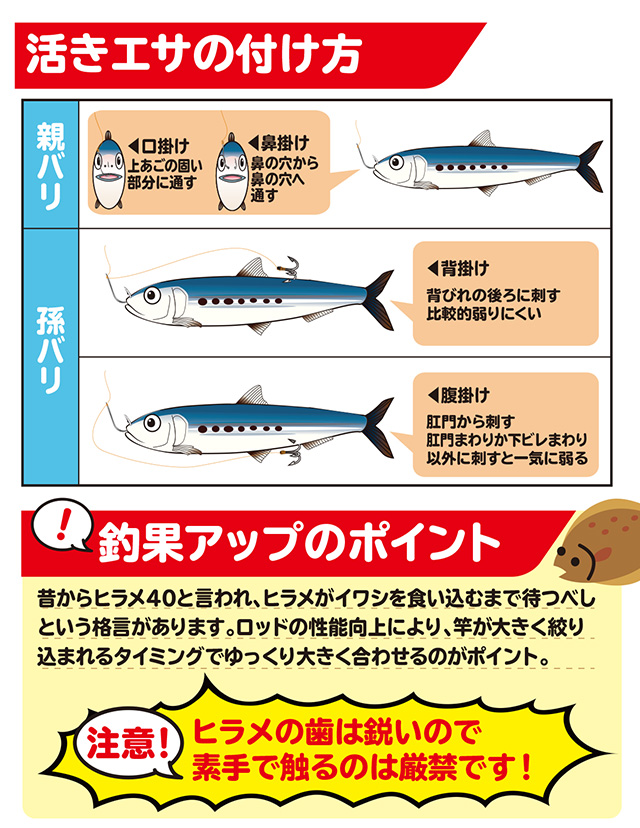 ヒラメ 船釣り How To 釣具のキャスティング