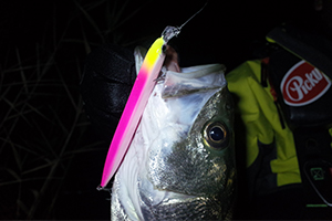 tpc142201-5.jpg?t=1643938831