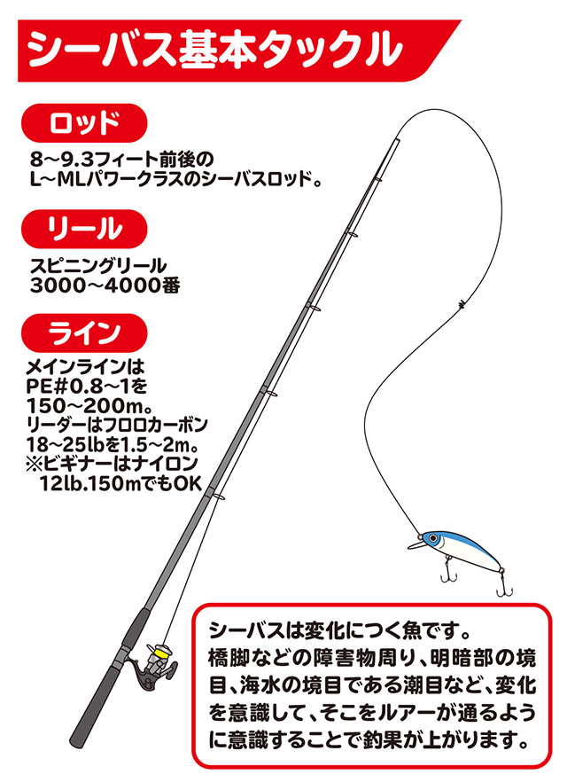 シーバス 湾奥 How To 釣具のキャスティング