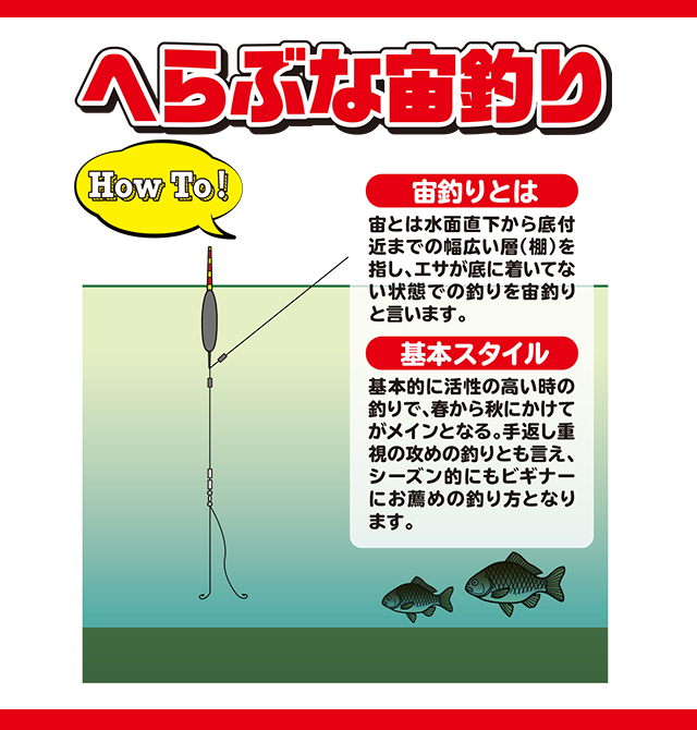 へらぶな 釣り 確認用 - その他