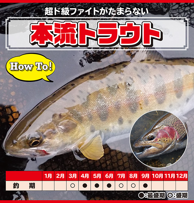 ヤマメ ニジマス 本流トラウト How To 釣具のキャスティング