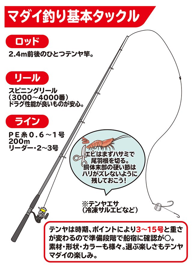 マダイ テンヤマダイ How To 釣具のキャスティング