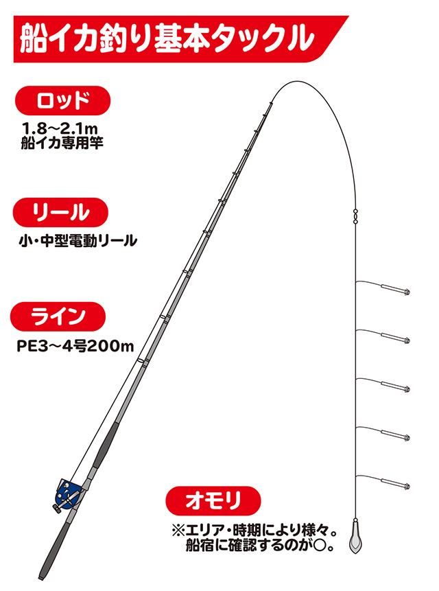 スルメイカ ヤリイカ 船釣り 宮城 岩手 How To 釣具のキャスティング