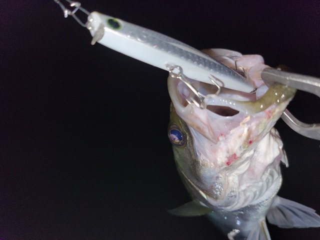 多賀城店 釣具のキャスティング