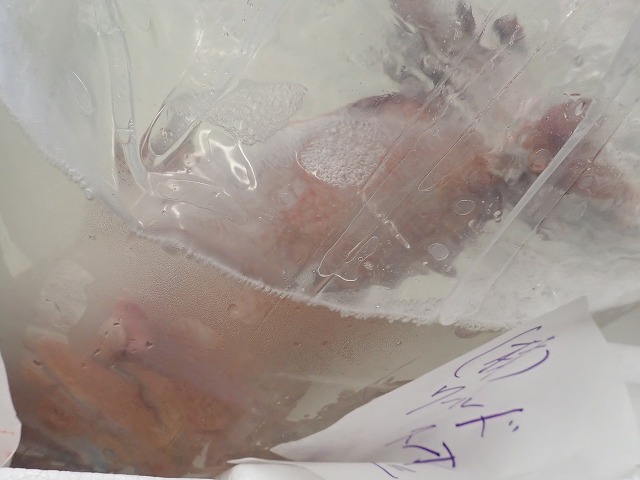 tpc160964-5.jpg