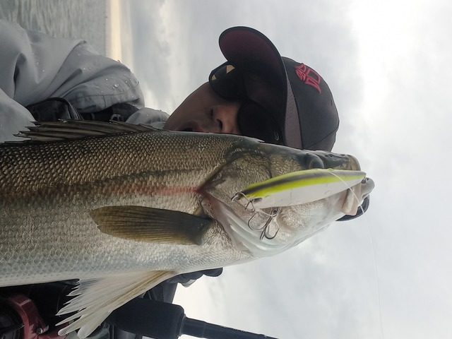 サーフェイスコントローラー118F誕生秘話④～いつ寝たっけ？～ | NEWS