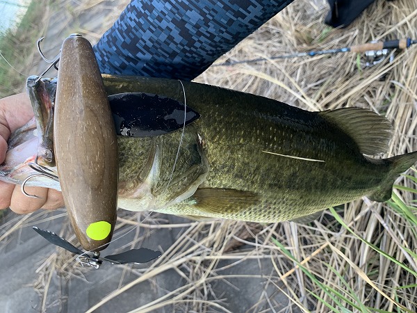岩槻インター店 [釣具のキャスティング]
