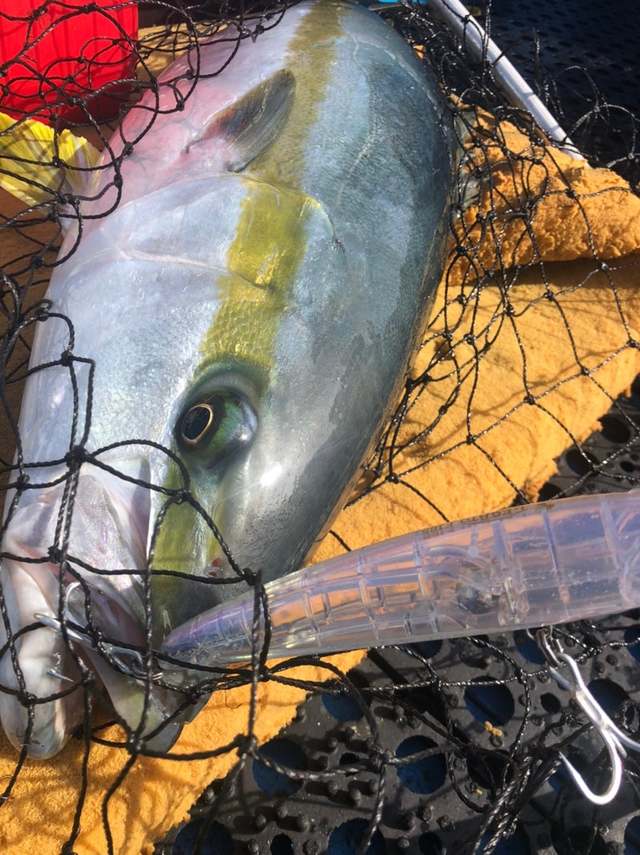 ふじみ野店 [釣具のキャスティング]