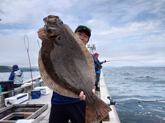 ダイワ daiwa メタリアヒラメ270 ダイワ daiwa ダイワ メタリア ヒラメ 270 メタリアヒラメ270 : ダイワ