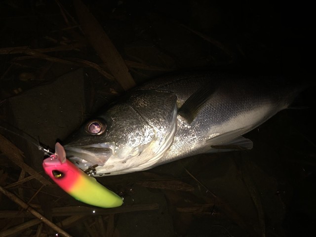 水戸店 [釣具のキャスティング]