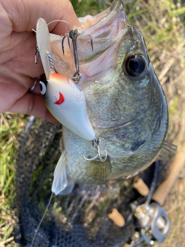 福岡店 [釣具のキャスティング]