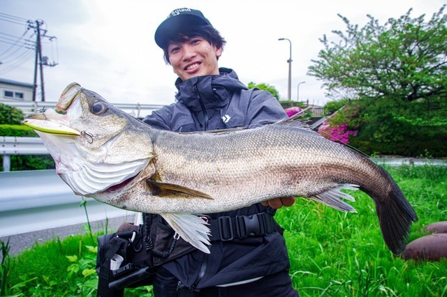 サーフェイスコントローラー80の使い方 | NEWS - 最新情報・お知らせ
