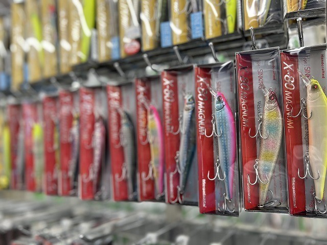 tpc220311-main.jpg