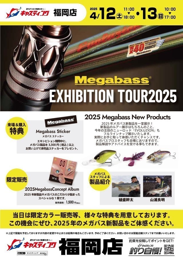 キリンジ カゲロウ 2個セットホワイトパイソン2025