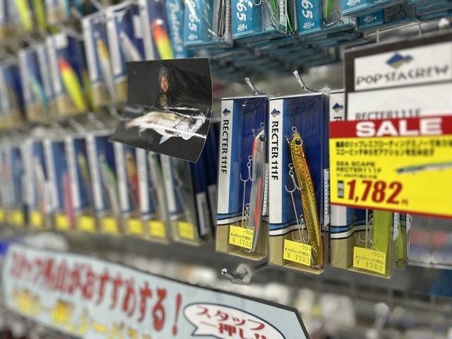 南行徳店 [釣具のキャスティング]