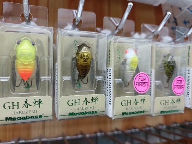 八王子店 [釣具のキャスティング]