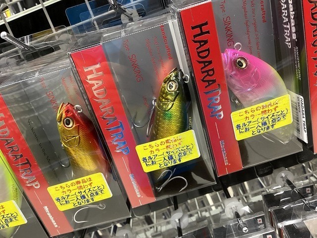 ☆水戸店☆ソルト入荷情報！