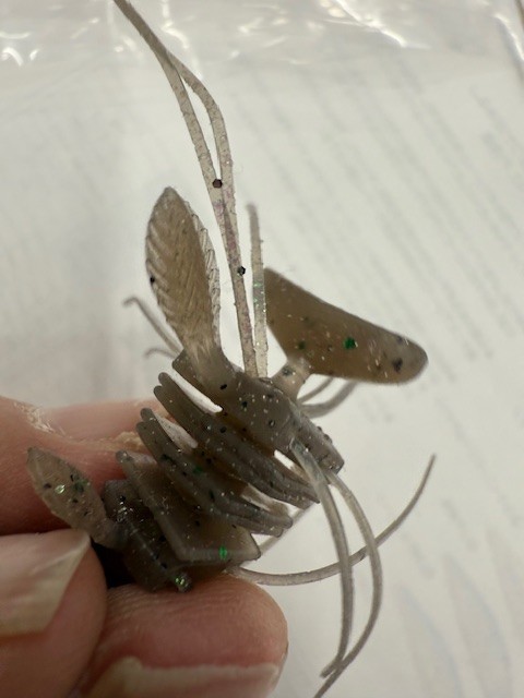 土浦店 [釣具のキャスティング]