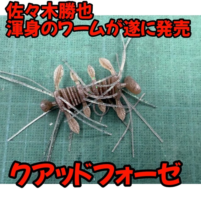 バブ熊五郎 しらこ❤️熊五郎の赤ちゃん産まれました❣️ 育児がんばろーね