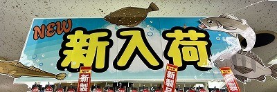 日本橋店 [釣具のキャスティング]