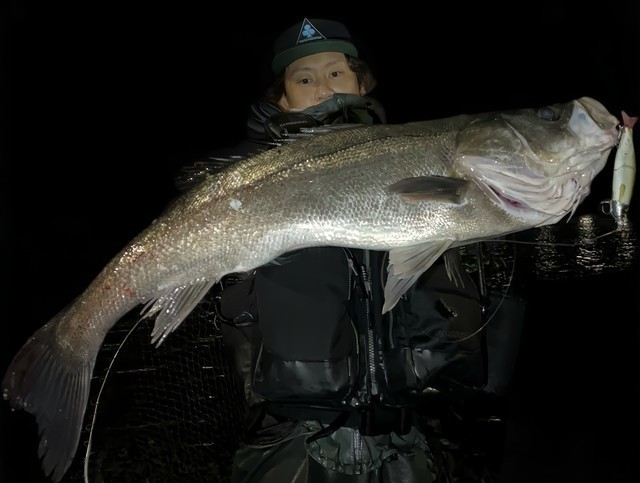 【連休セール】メジャークラフト　セルバ 水戸店 [釣具のキャスティング]