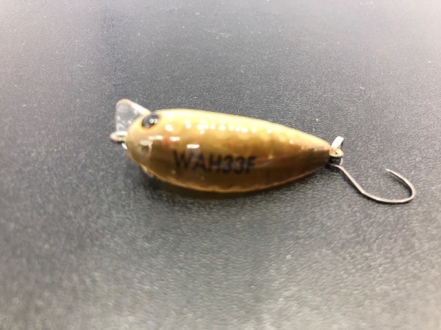 東久留米店 [釣具のキャスティング]