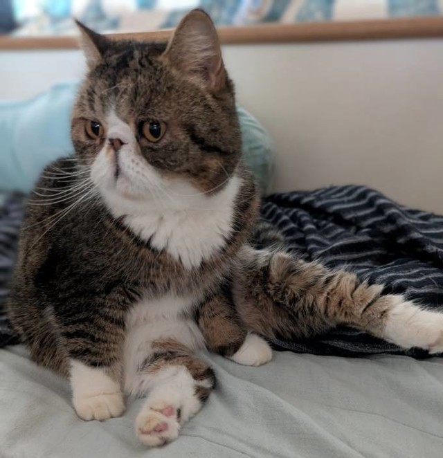 南柏店 [釣具のキャスティング]