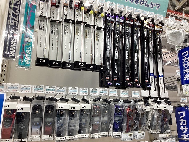 市川東店 [釣具のキャスティング]