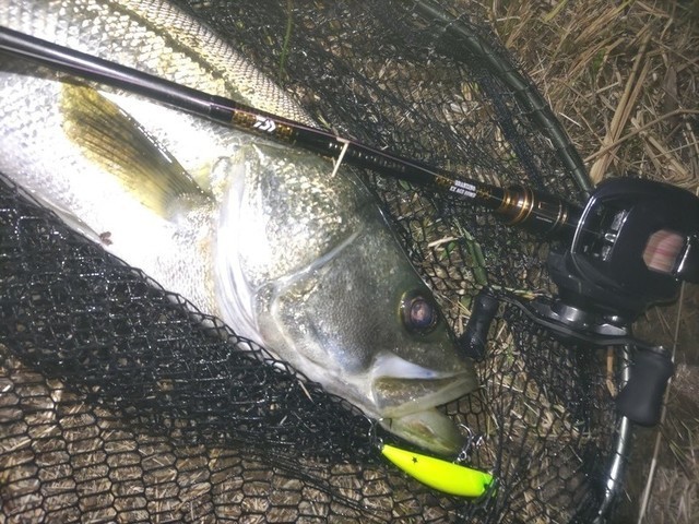 シュロアモール筑紫野店 [釣具のキャスティング]