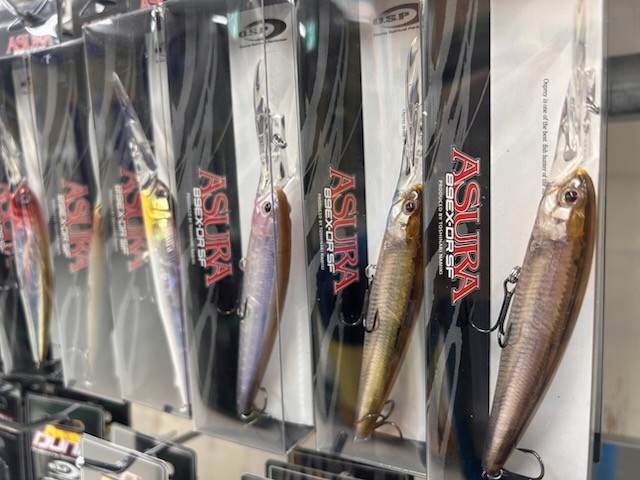 八王子店 [釣具のキャスティング]