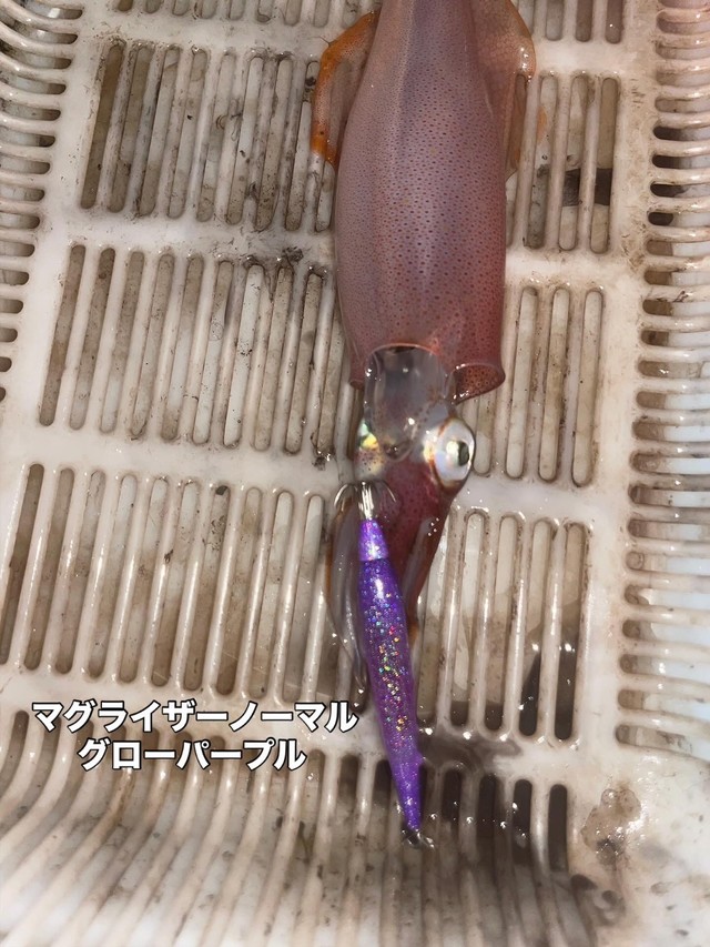 泉バイパス店 [釣具のキャスティング]