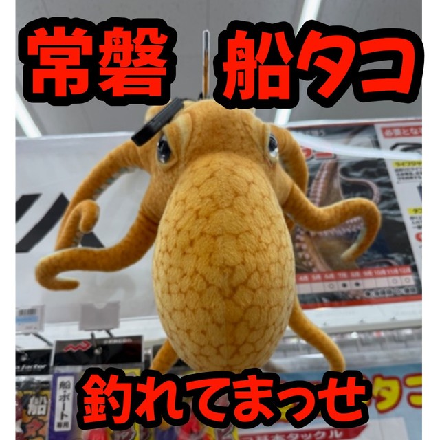 タコページ つくば店 [釣具のキャスティング]