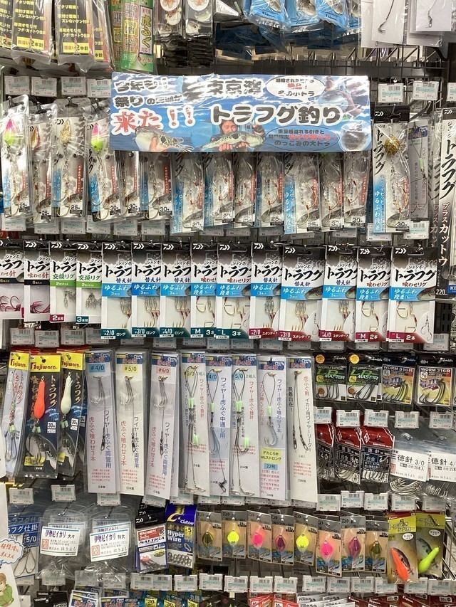 ドウダンツツジ 生垣 バラ売り可【石川県引き取り限定】まとめ割 楽天市場】50cm 生垣 庭木 落葉樹 つつじ 植木【ドウダンツツジ 樹高