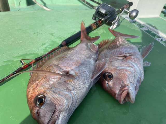 南行徳店 [釣具のキャスティング]