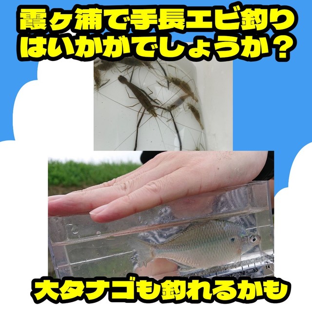 土浦店 [釣具のキャスティング]