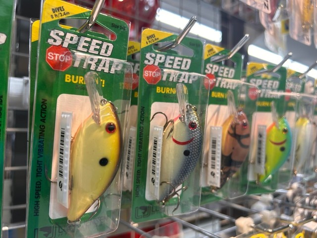 八王子店 [釣具のキャスティング]