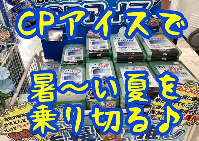 シュロアモール筑紫野店 [釣具のキャスティング]