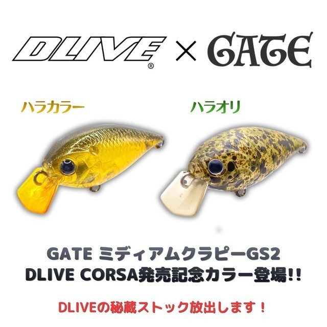 新大宮バイパス店 [釣具のキャスティング]